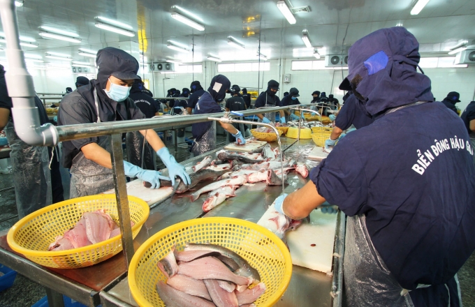 Bond des exportations de pangasius au Mexique